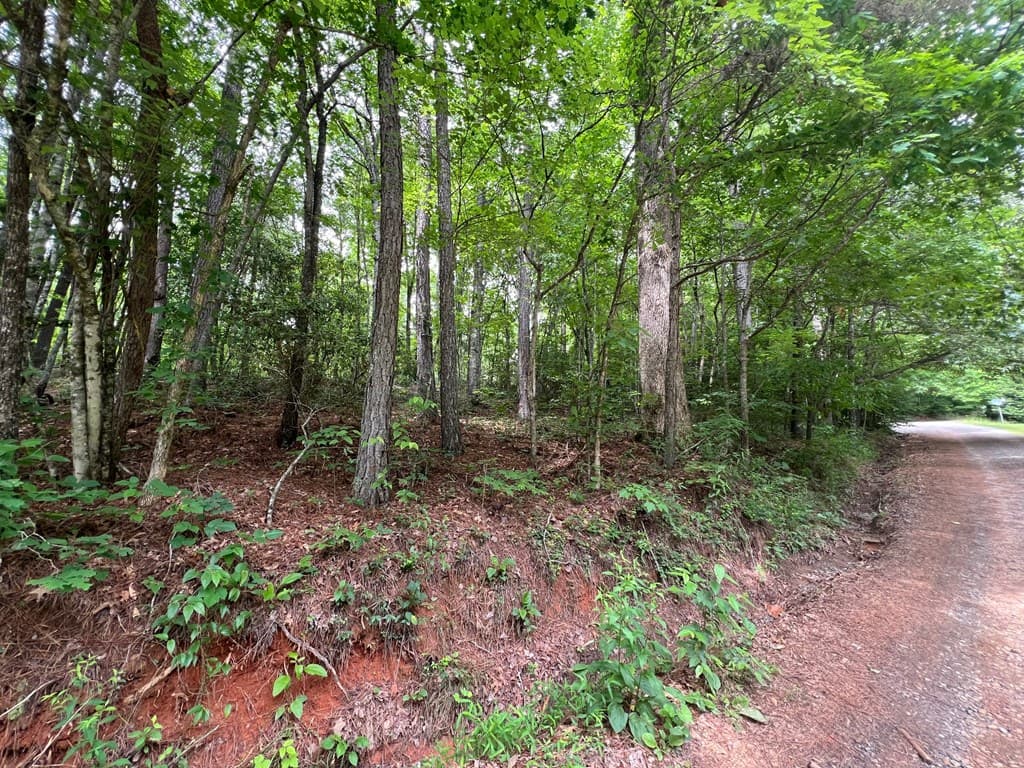 00 Mr Bert Road, Hiawassee GA 30548 - Photo