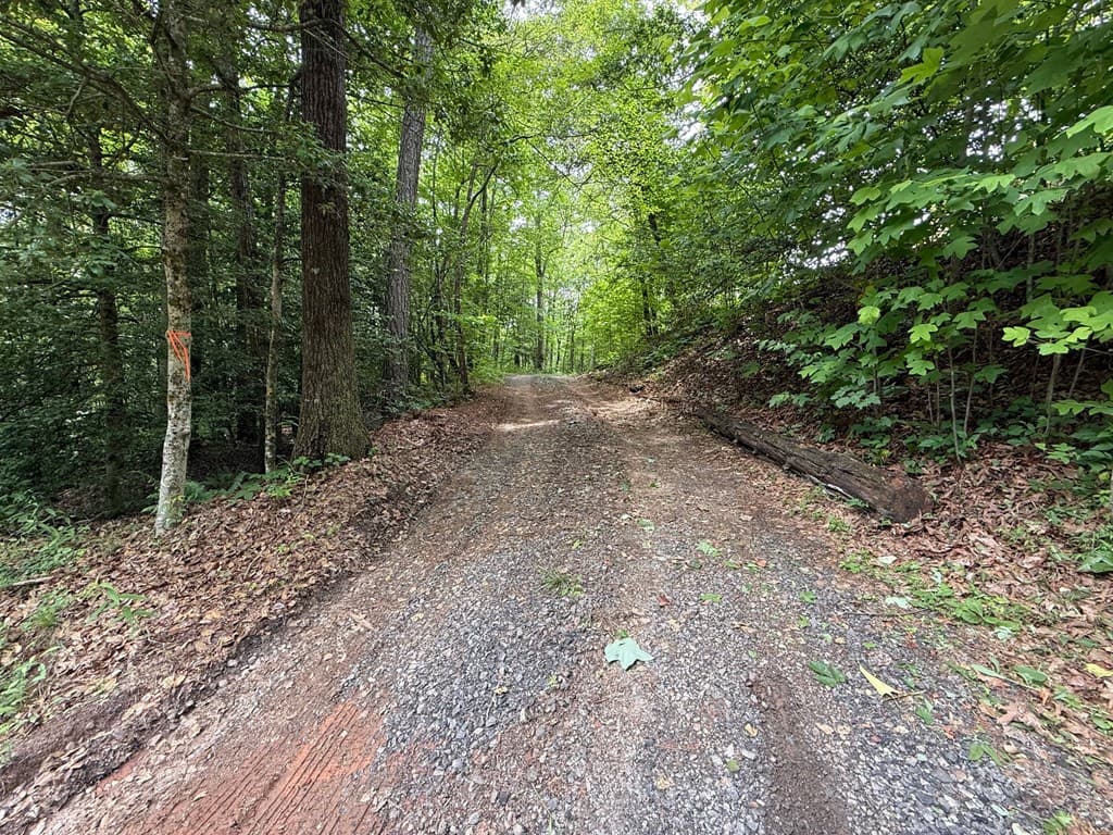 00 Mr Bert Road, Hiawassee GA 30548 - Photo