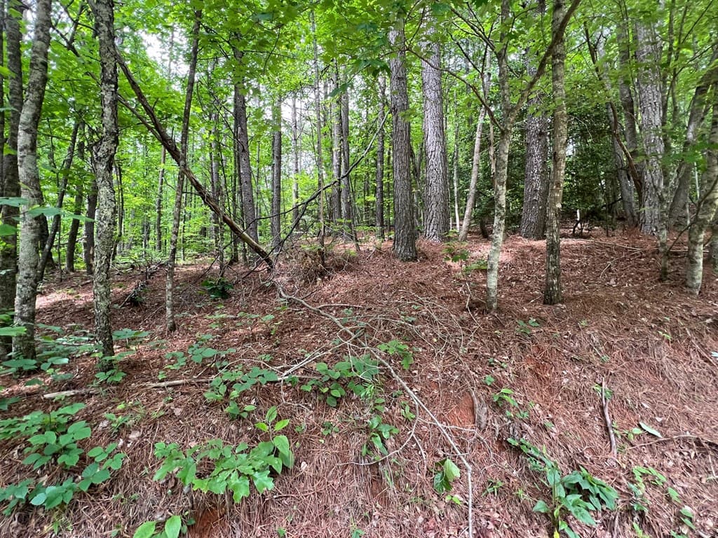 00 Mr Bert Road, Hiawassee GA 30548 - Photo