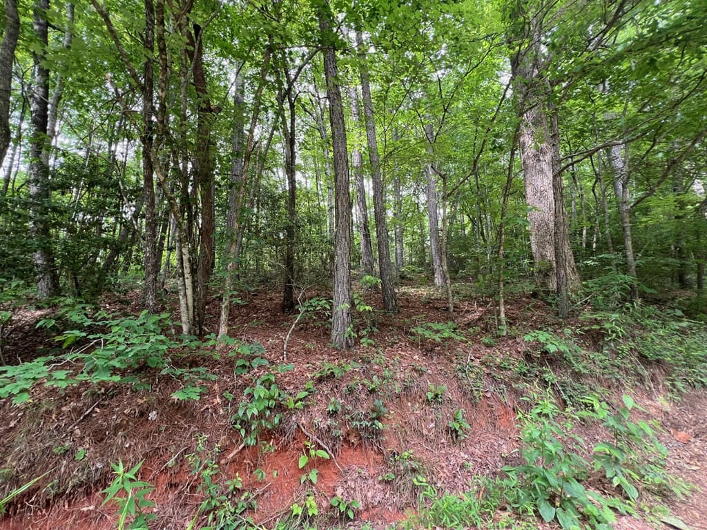 00 Mr Bert Road, Hiawassee GA 30548 - Photo
