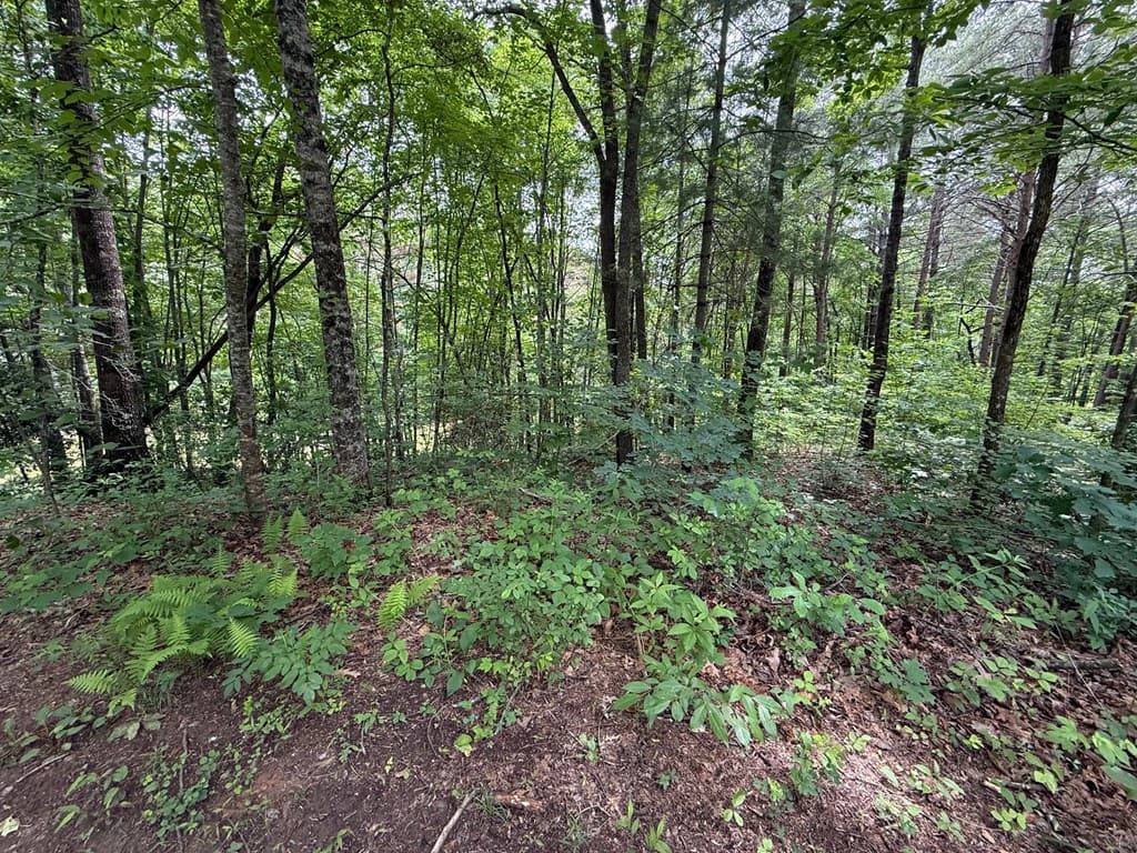 00 Mr Bert Road, Hiawassee GA 30548 - Photo