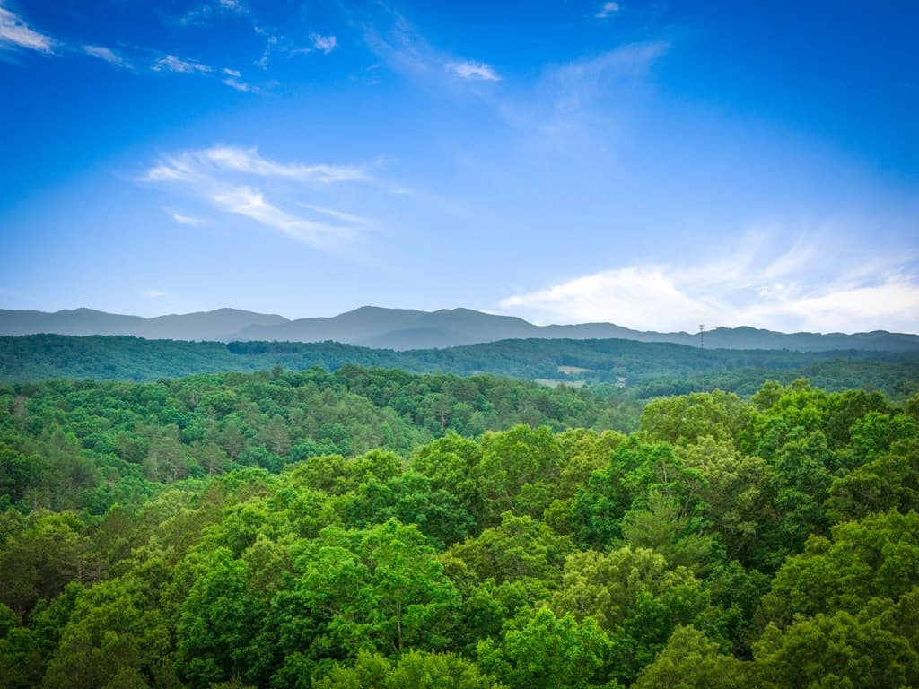 128 Ridge Brook Drive, Morganton GA 30560 - Photo