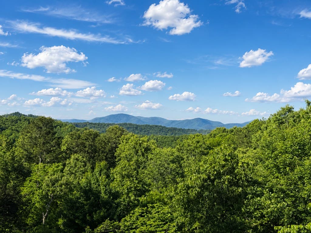 128 Ridge Brook Drive, Morganton GA 30560 - Photo