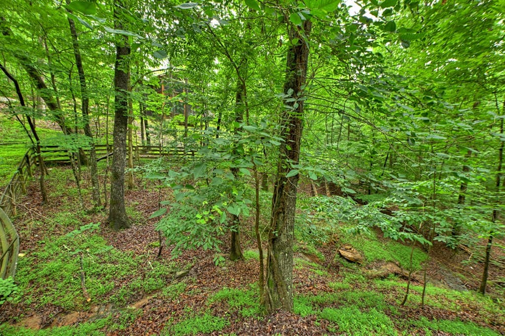 161 Foxhound Court, Ellijay GA 30540 - Photo