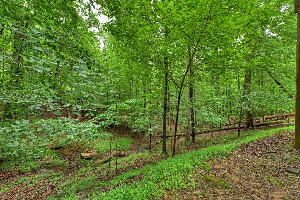 161 Foxhound Court, Ellijay GA 30540 - Photo