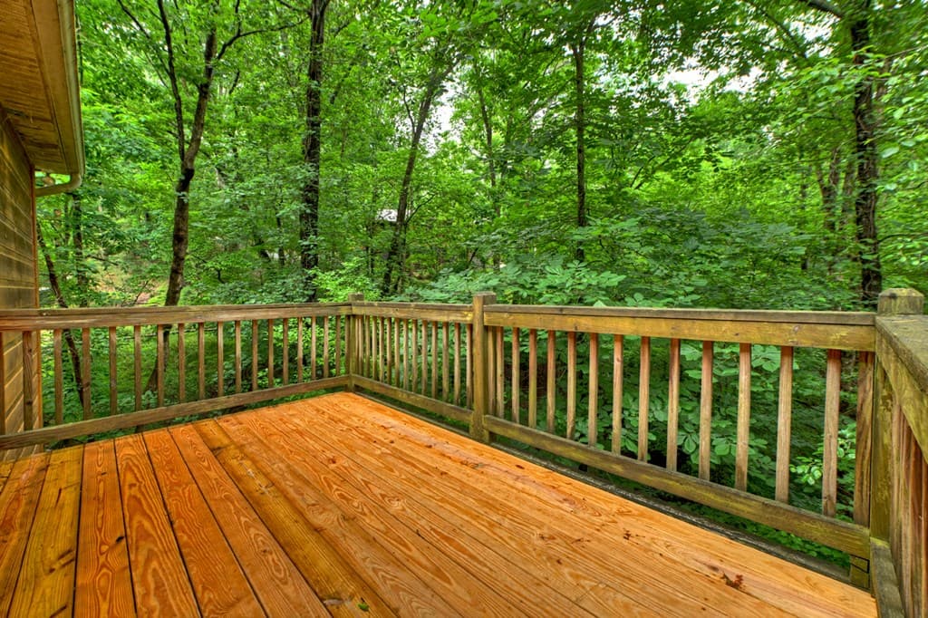 161 Foxhound Court, Ellijay GA 30540 - Photo