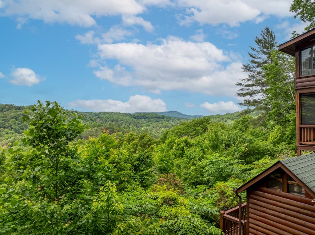 237 Dupont Drive, Blue Ridge GA 30513 - Photo
