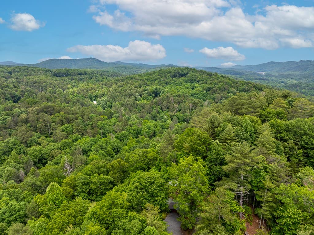 237 Dupont Drive, Blue Ridge GA 30513 - Photo