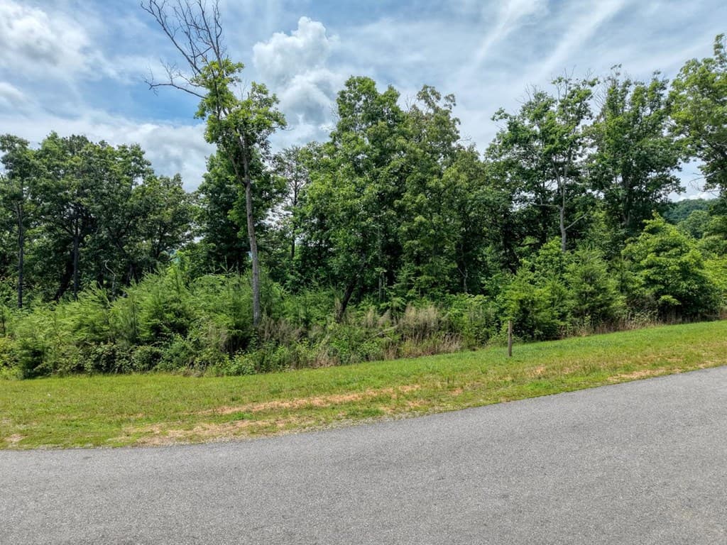 Lot 124 Highland Park, Blairsville GA 30512 - Photo