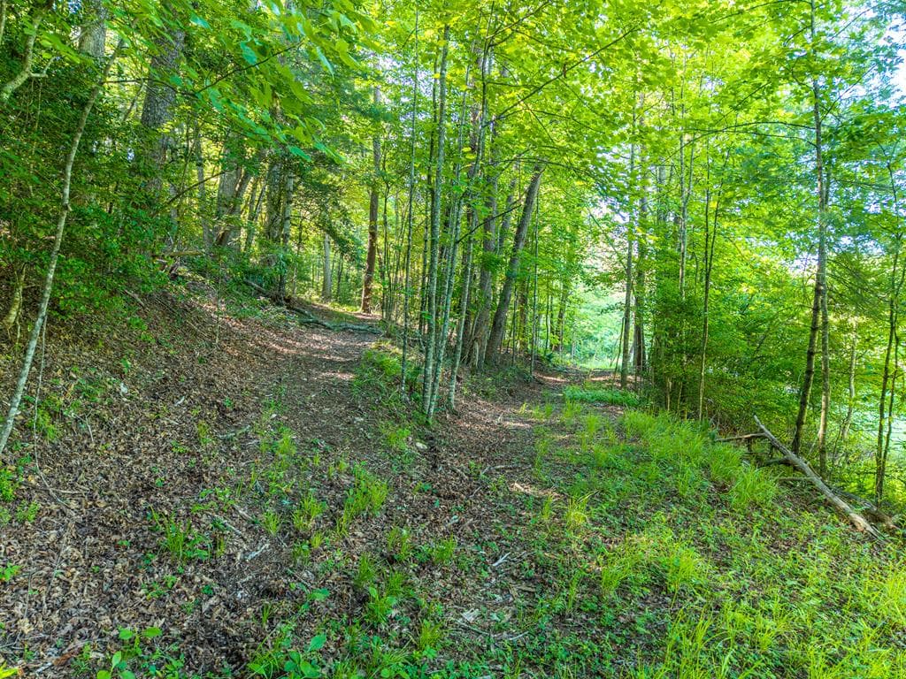 5664 Mobile Road, Blue Ridge GA 30513 - Photo