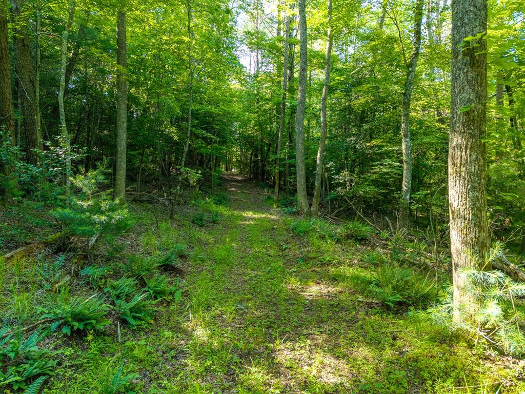 5664 Mobile Road, Blue Ridge GA 30513 - Photo