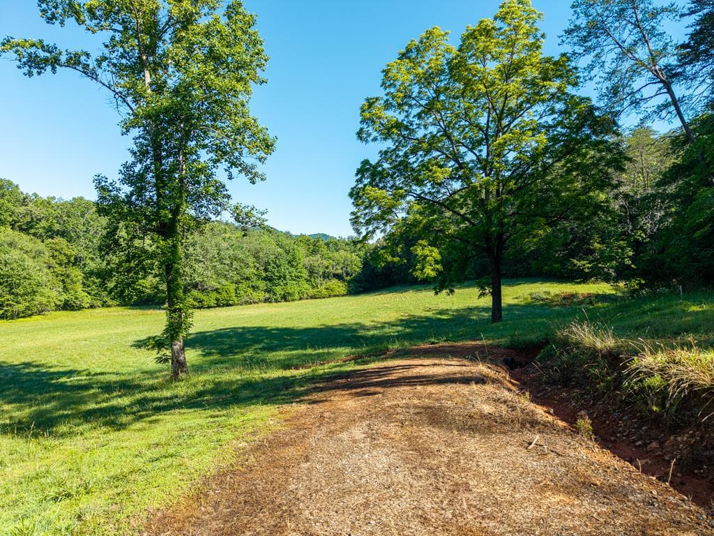 5664 Mobile Road, Blue Ridge GA 30513 - Photo