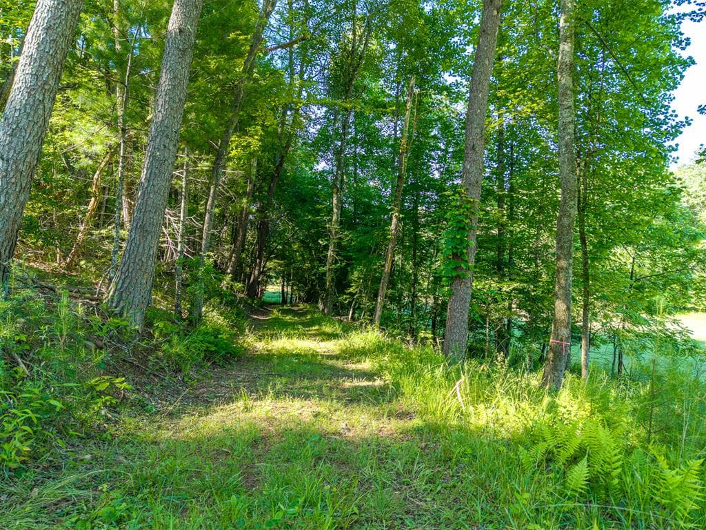 5664 Mobile Road, Blue Ridge GA 30513 - Photo