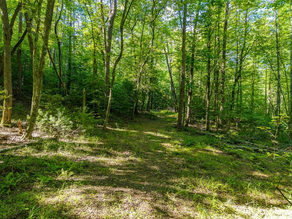 5664 Mobile Road, Blue Ridge GA 30513 - Photo