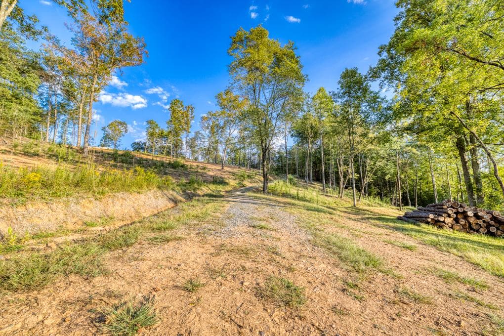 5664 Mobile Road, Blue Ridge GA 30513 - Photo