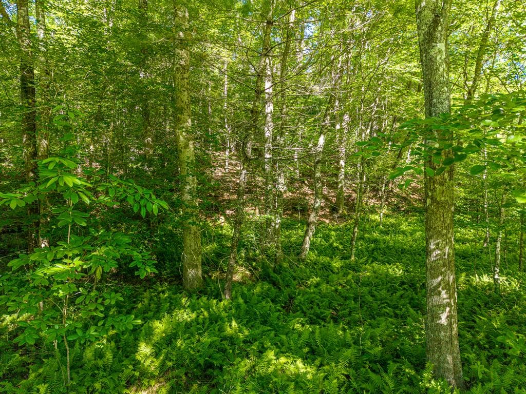 5664 Mobile Road, Blue Ridge GA 30513 - Photo