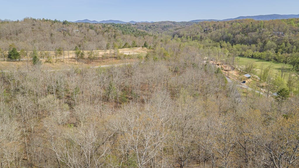 153 Hickory Way, Mineral Bluff GA 30559 - Photo