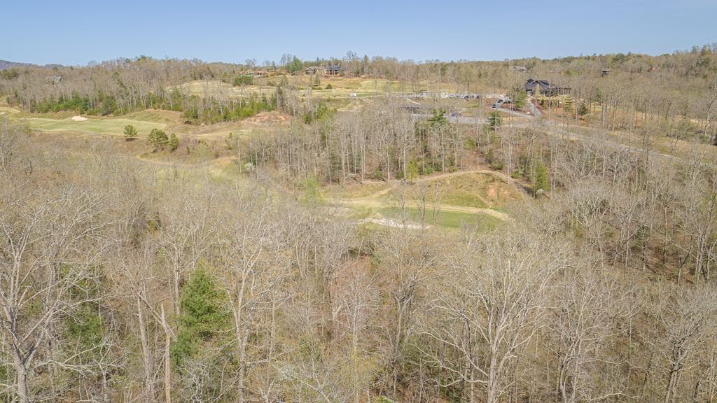 153 Hickory Way, Mineral Bluff GA 30559 - Primary photo