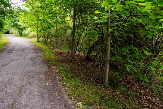 Lot 29 Hidden Forest Lane, Hayesville NC 28904 - Photo