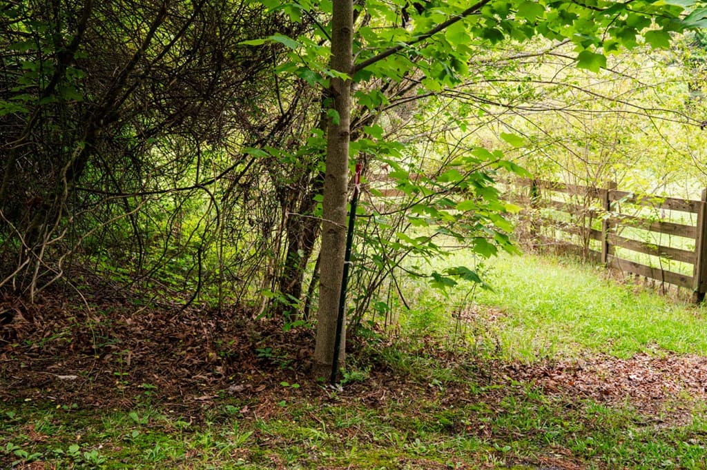 Lot 29 Hidden Forest Lane, Hayesville NC 28904 - Photo