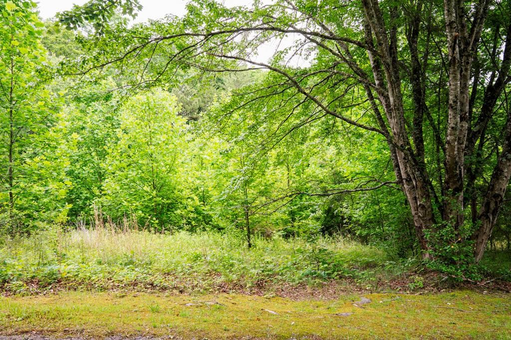 Lot 29 Hidden Forest Lane, Hayesville NC 28904 - Primary photo