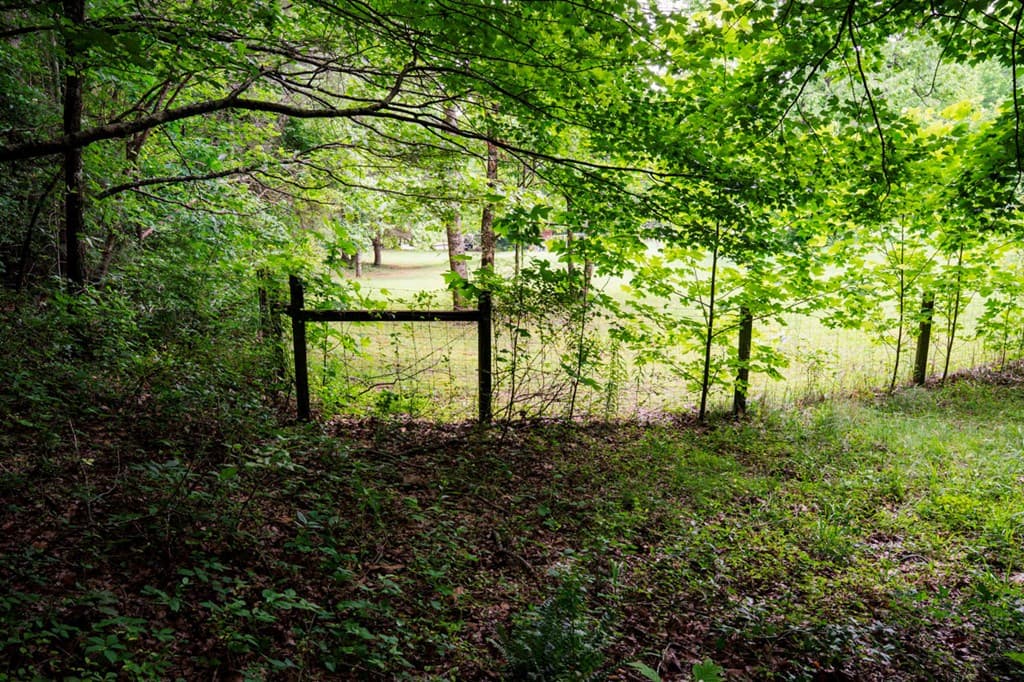 Lot 29 Hidden Forest Lane, Hayesville NC 28904 - Photo