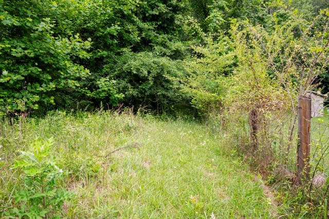 Lot 29 Hidden Forest Lane, Hayesville NC 28904 - Photo
