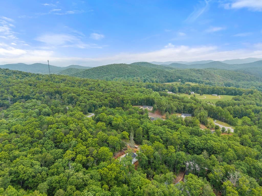 286 Frances Drive, Ellijay GA 30536 - Photo