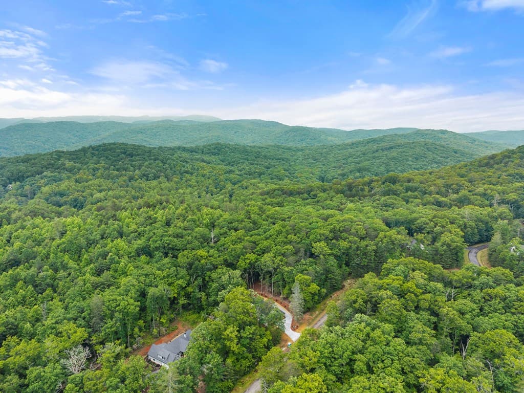 286 Frances Drive, Ellijay GA 30536 - Photo
