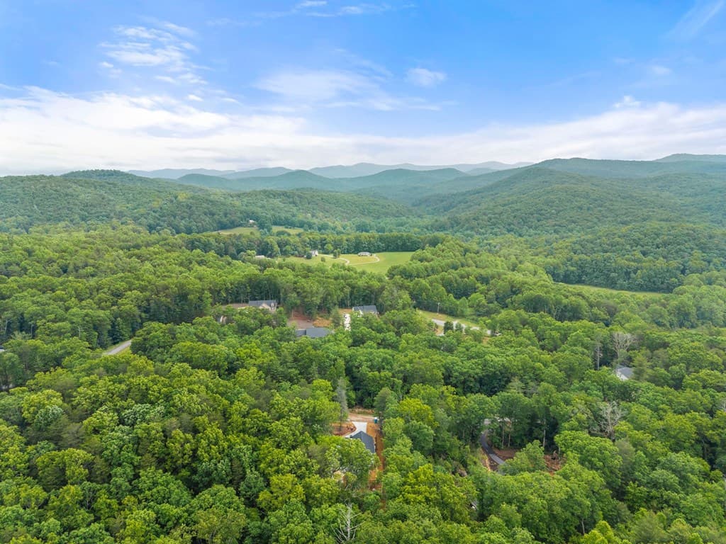 286 Frances Drive, Ellijay GA 30536 - Photo