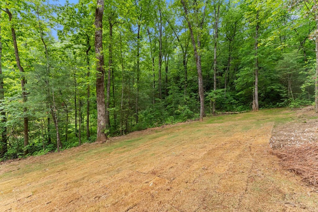 286 Frances Drive, Ellijay GA 30536 - Photo
