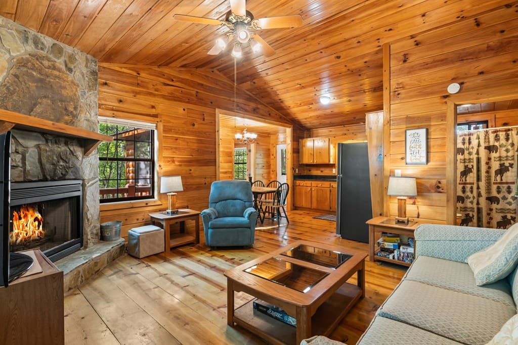 31 Eagle Feather Drive, Cherry Log GA 30522 - Photo