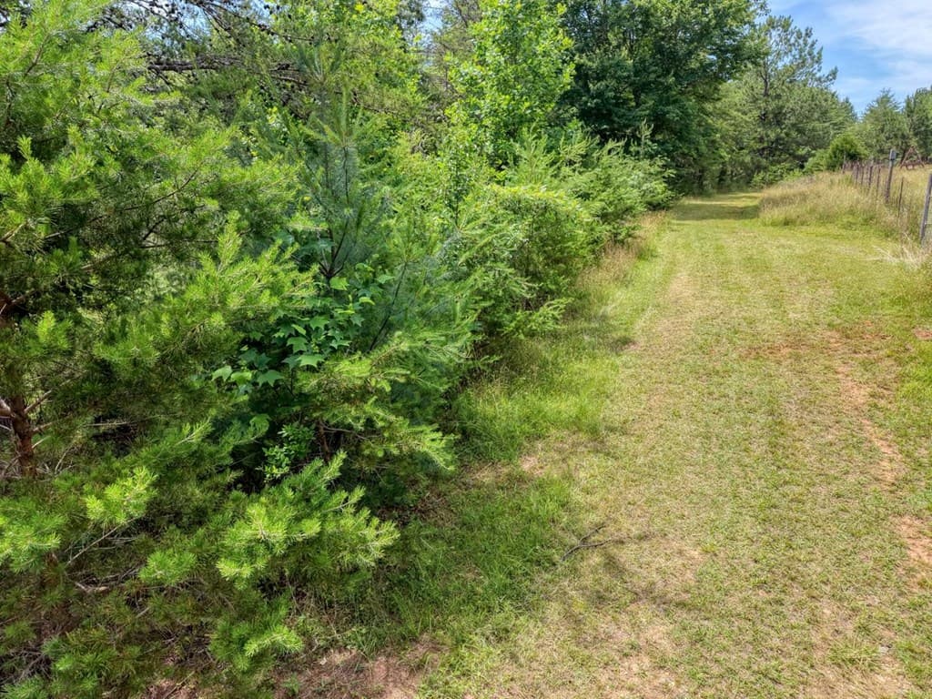 Lot 13 Porter Place, Blairsville GA 30512 - Photo