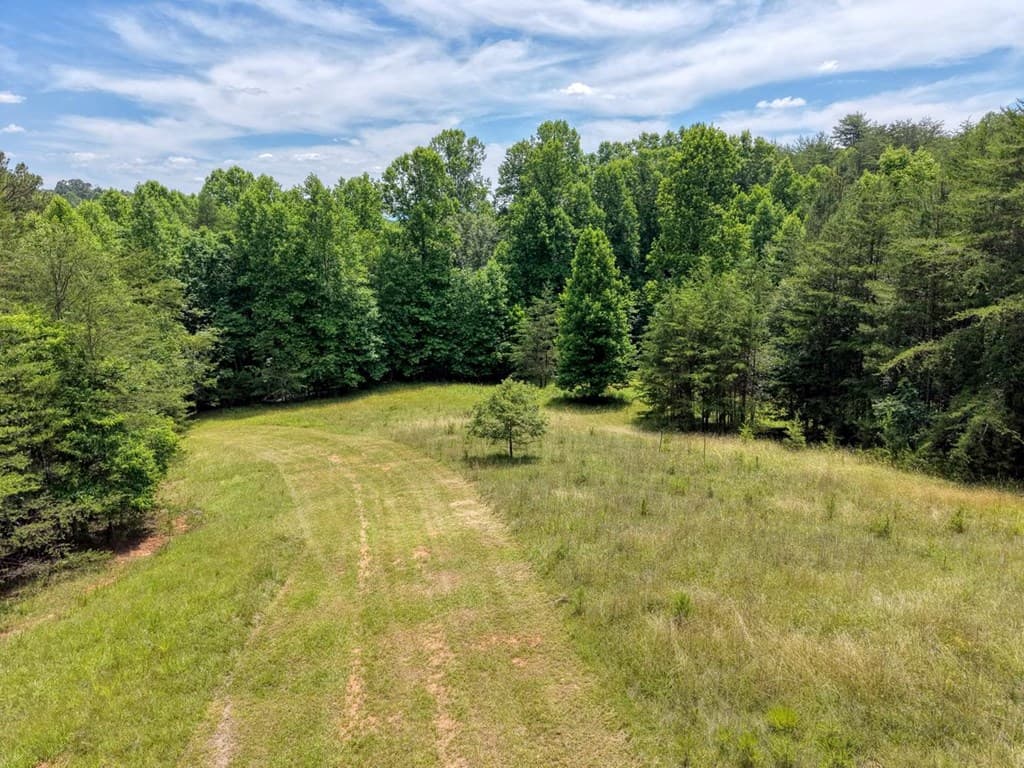 Lot 13 Porter Place, Blairsville GA 30512 - Photo