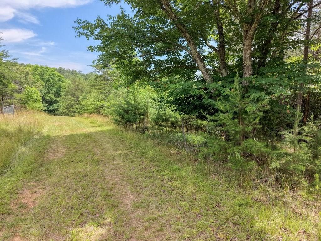 Lot 13 Porter Place, Blairsville GA 30512 - Primary photo
