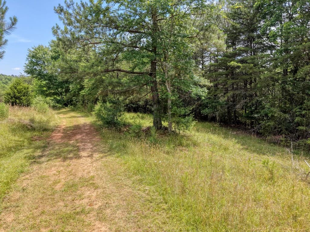 Lot 13 Porter Place, Blairsville GA 30512 - Photo