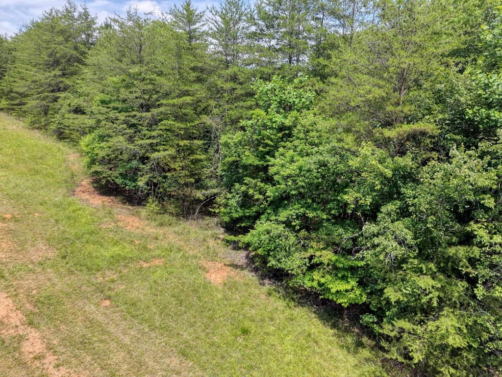 Lot 13 Porter Place, Blairsville GA 30512 - Photo