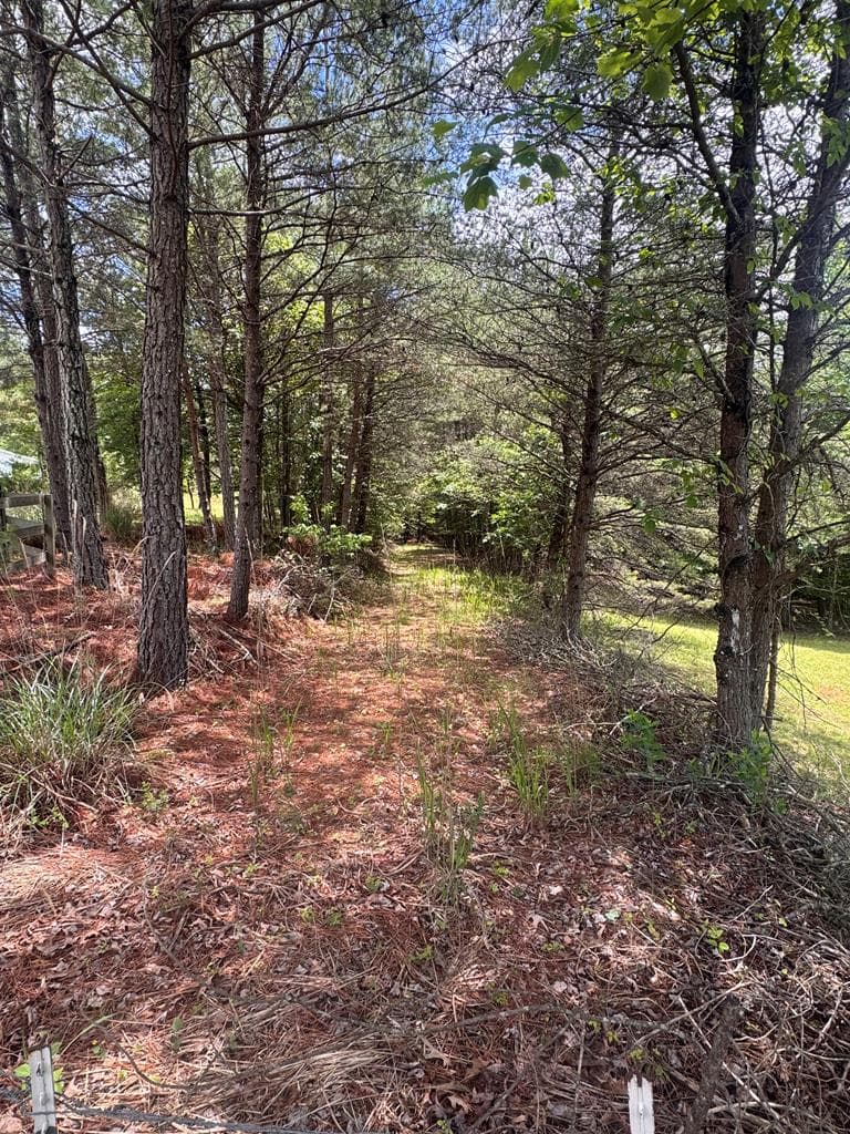 Lot 13 Porter Place, Blairsville GA 30512 - Photo