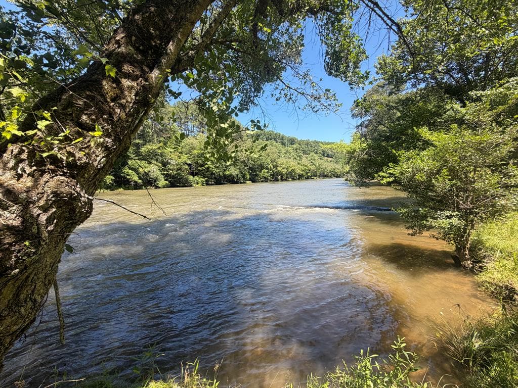 92 Fish Trap Road, Blue Ridge GA 30513 - Photo