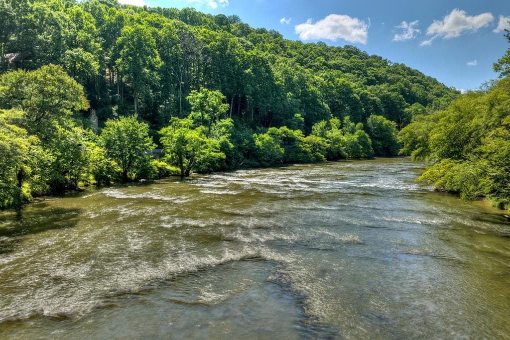 92 Fish Trap Road, Blue Ridge GA 30513 - Primary photo