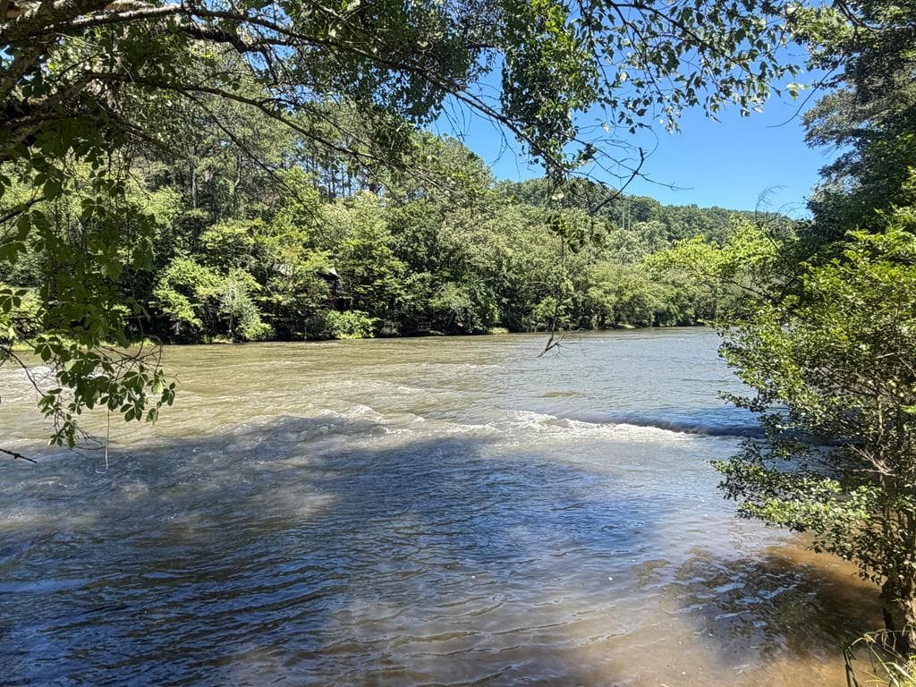 92 Fish Trap Road, Blue Ridge GA 30513 - Photo