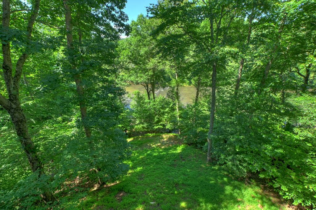 92 Fish Trap Road, Blue Ridge GA 30513 - Photo