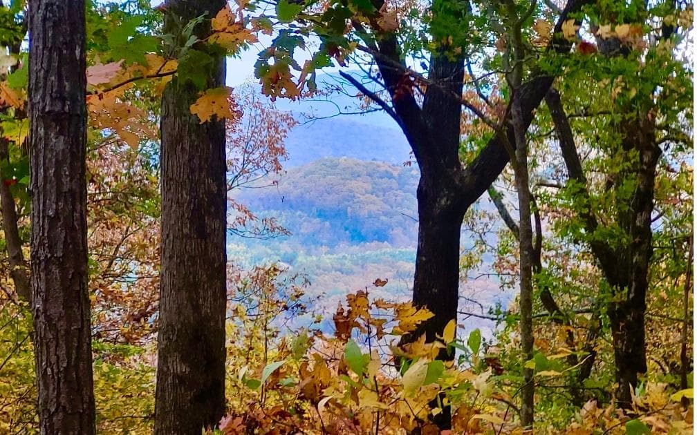 43.91 Old Burnt Mountain Road, Ellijay GA 30540 - Photo