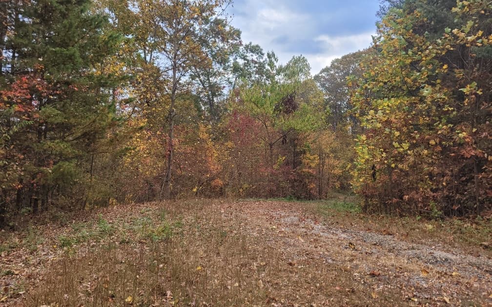 43.91 Old Burnt Mountain Road, Ellijay GA 30540 - Photo