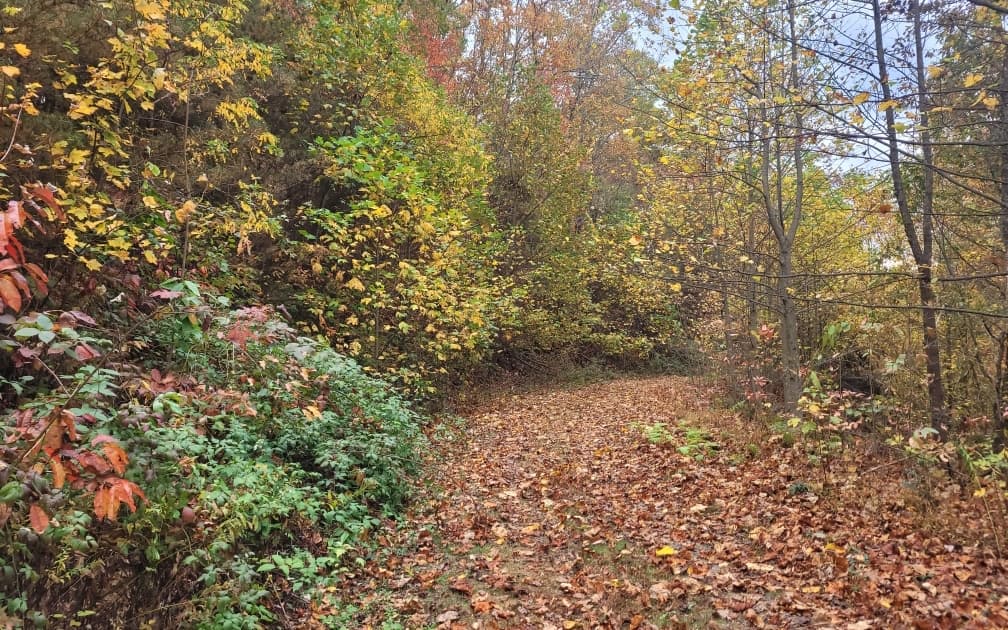 43.91 Old Burnt Mountain Road, Ellijay GA 30540 - Photo