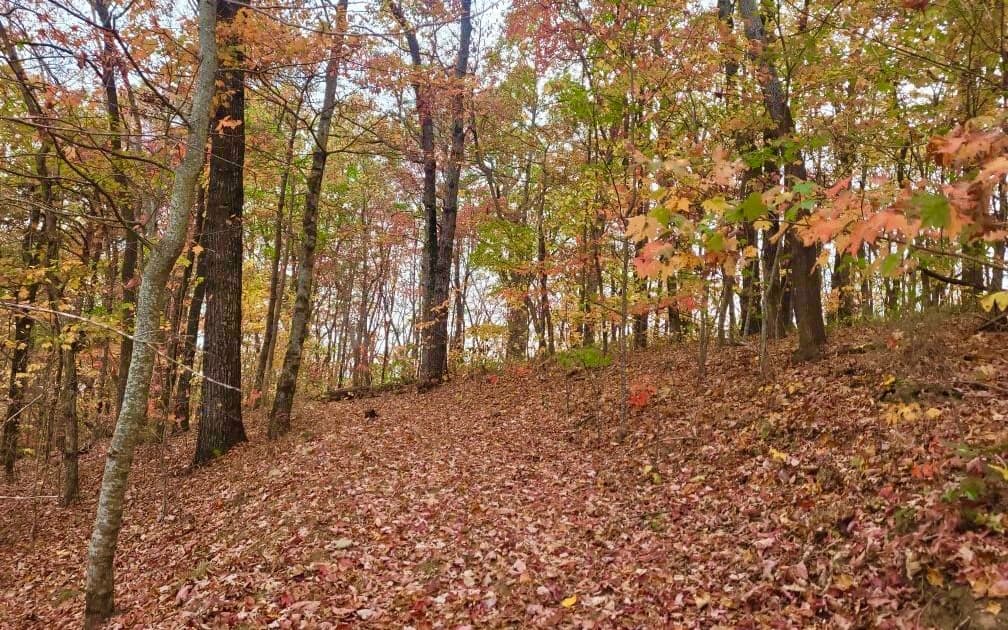 43.91 Old Burnt Mountain Road, Ellijay GA 30540 - Photo