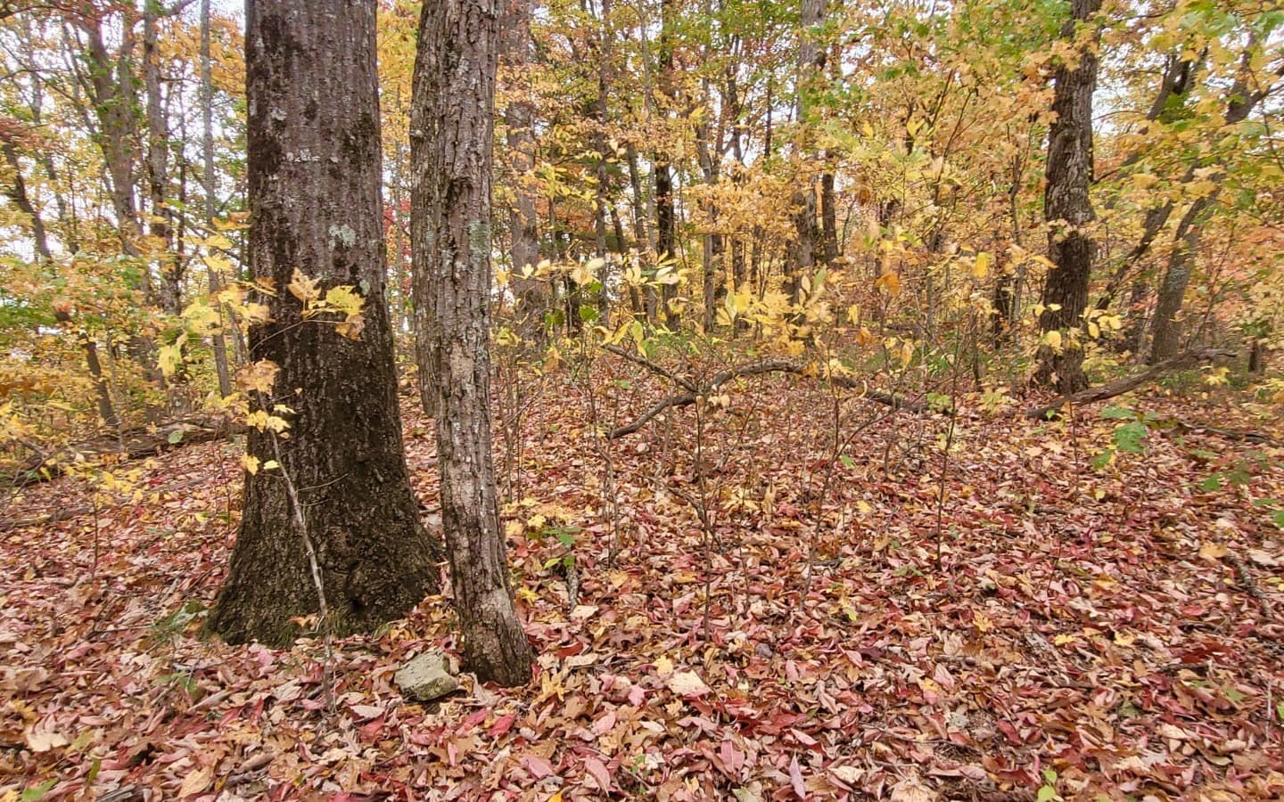 43.91 Old Burnt Mountain Road, Ellijay GA 30540 - Photo