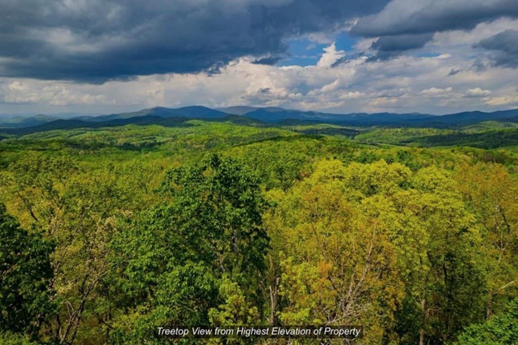 43.91 Old Burnt Mountain Road, Ellijay GA 30540 - Photo