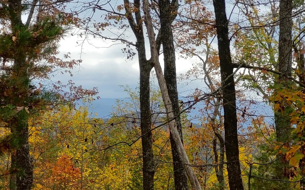 43.91 Old Burnt Mountain Road, Ellijay GA 30540 - Photo
