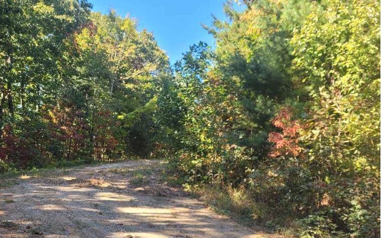 43.91 Old Burnt Mountain Road, Ellijay GA 30540 - Photo